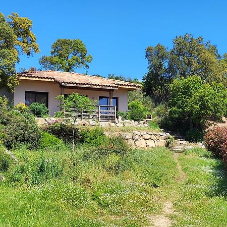 Villas Lantana Porto-Vecchio  Buitenkant foto